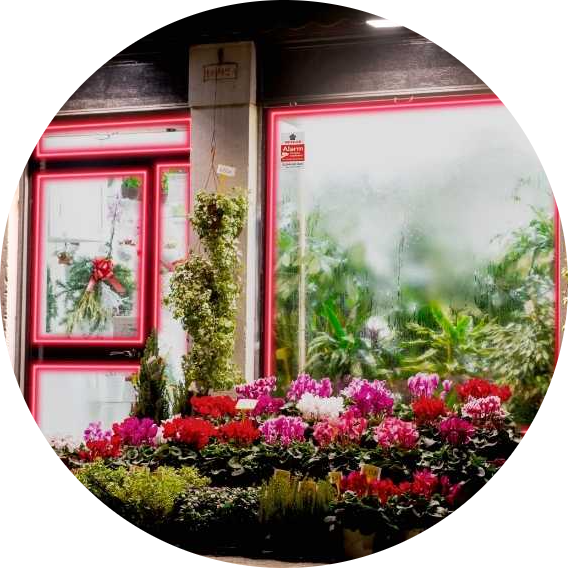 Waar kan ik mijn winkel tegen beschermen?