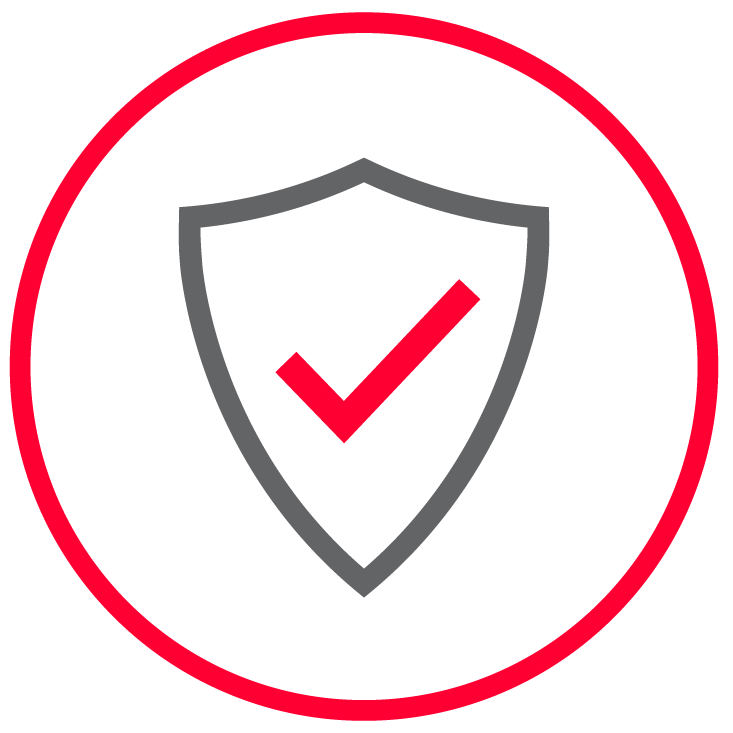 safe guard icon
