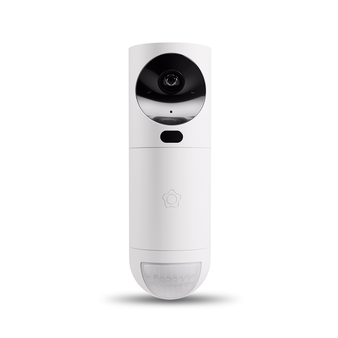 Videodetector