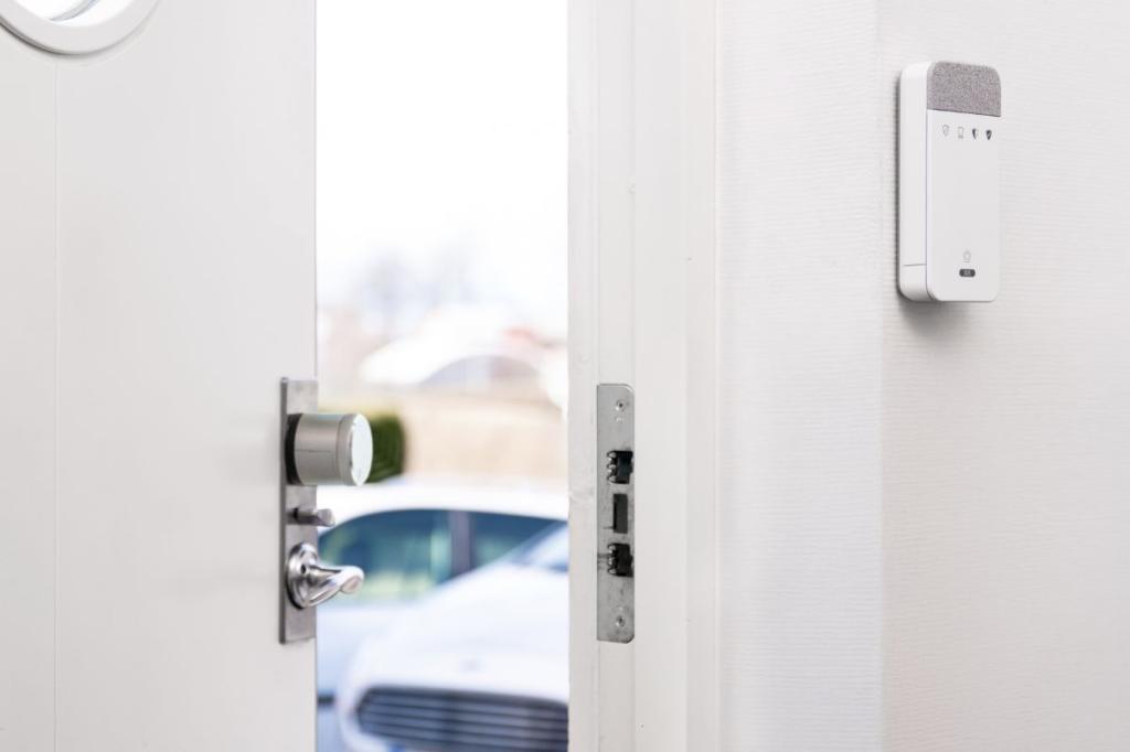 Lockhard Security System LockGuard – An electronic door lock for front door security