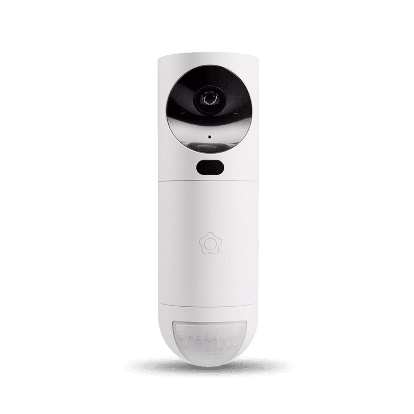 Videodetectoren voor alarm verificatie