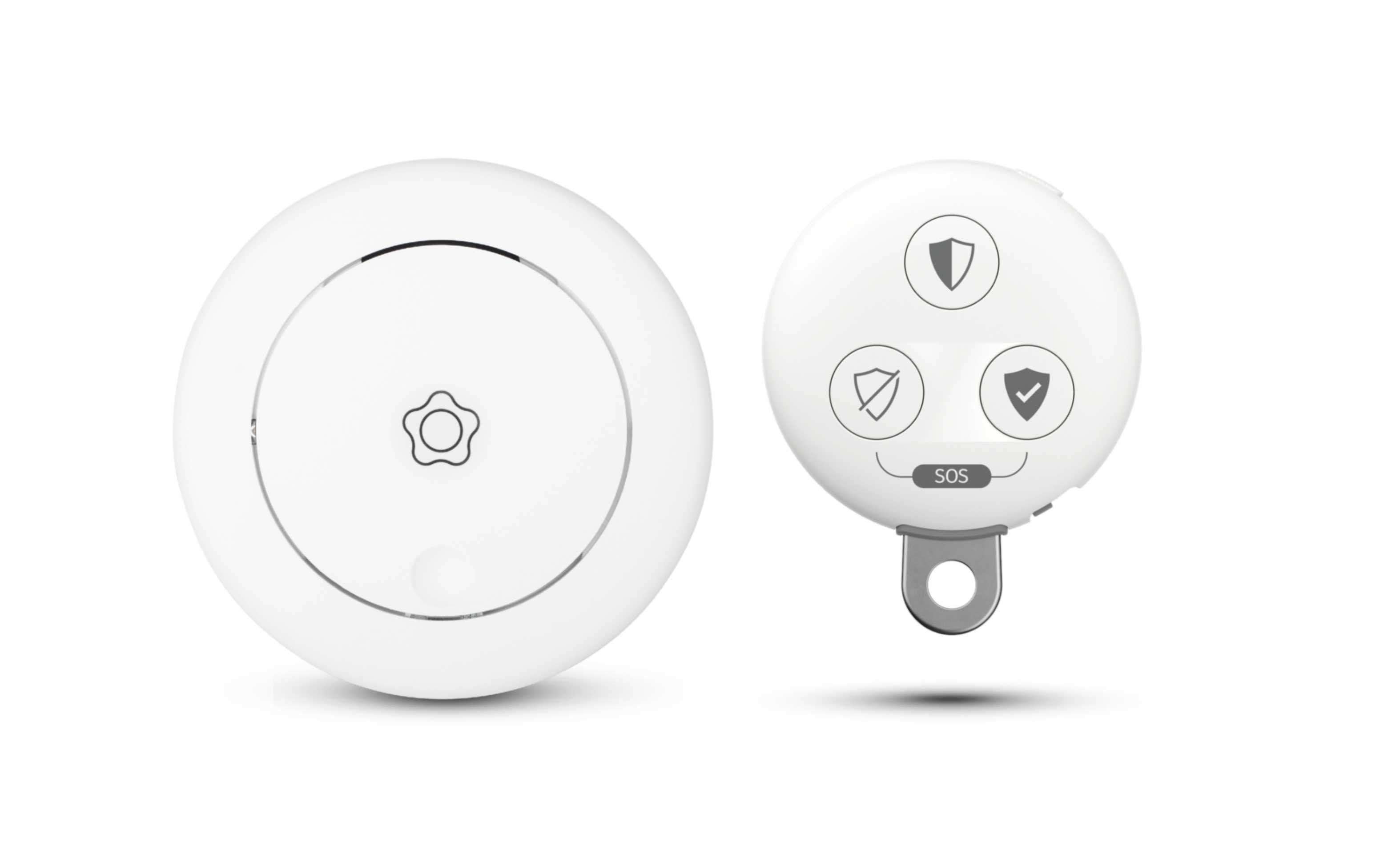 Verisure Guardian en rookmelder