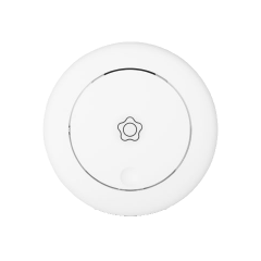 Rookdetector Rookdetector